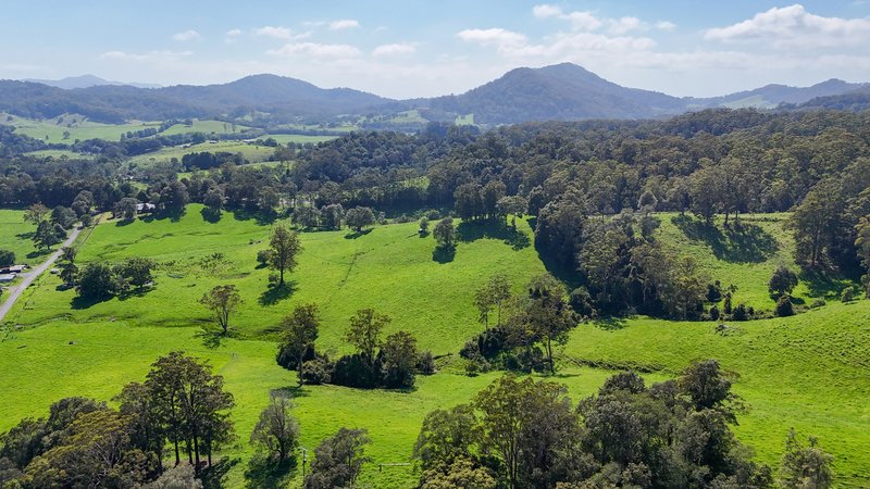 Photo - 329 South Island Loop Road, Upper Orara NSW 2450 - Image 30