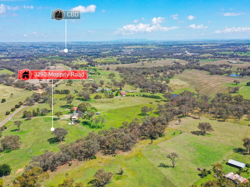 3290 Moppity Road, Young NSW 2594