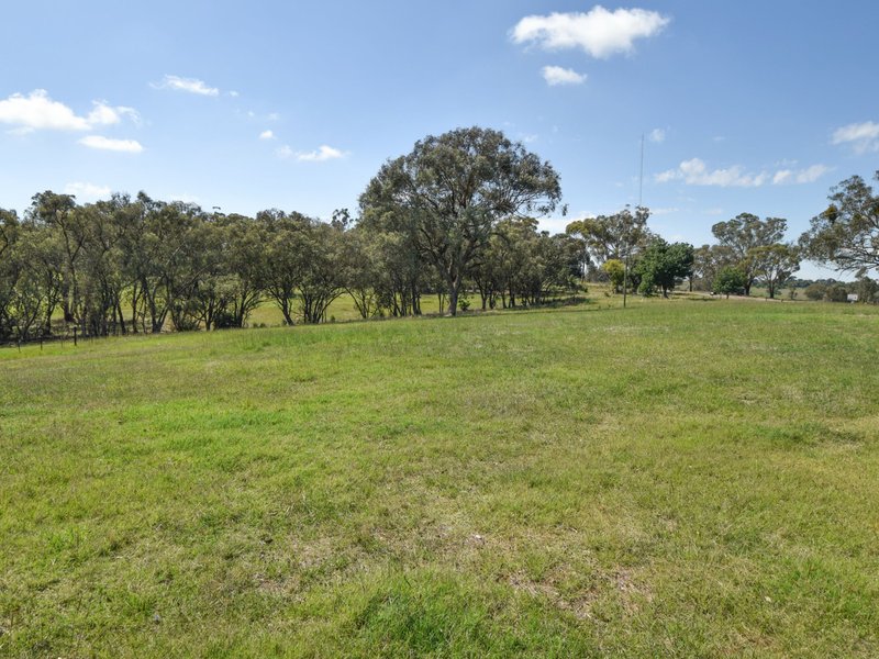 Photo - 3290 Moppity Road, Young NSW 2594 - Image 16