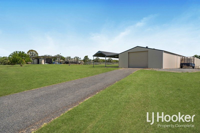 Photo - 33-37 Cyrus Road, Veresdale QLD 4285 - Image 3