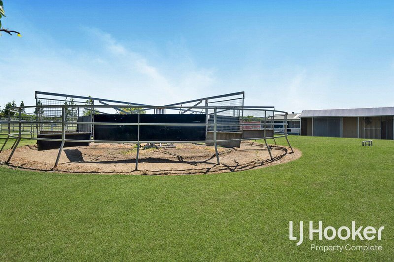 Photo - 33-37 Cyrus Road, Veresdale QLD 4285 - Image 8