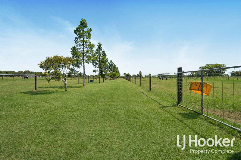 Photo - 33-37 Cyrus Road, Veresdale QLD 4285 - Image 10