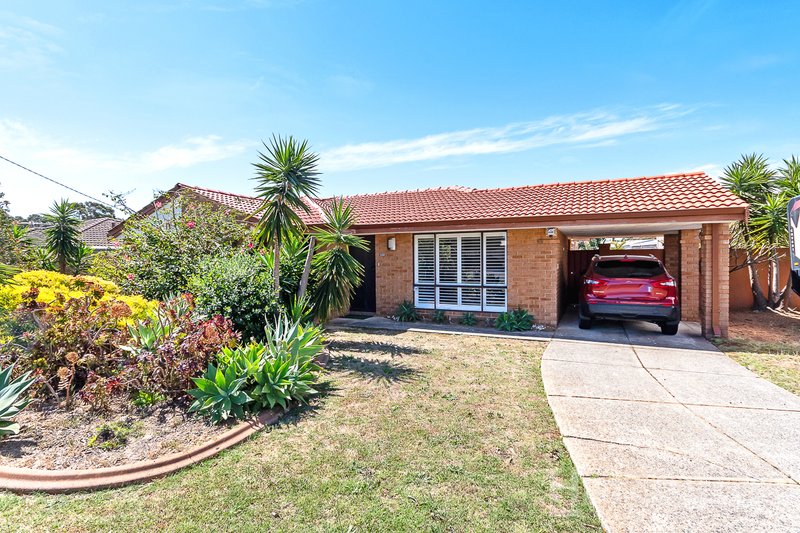 Photo - 33 Adelaide Circle, Craigie WA 6025 - Image 4