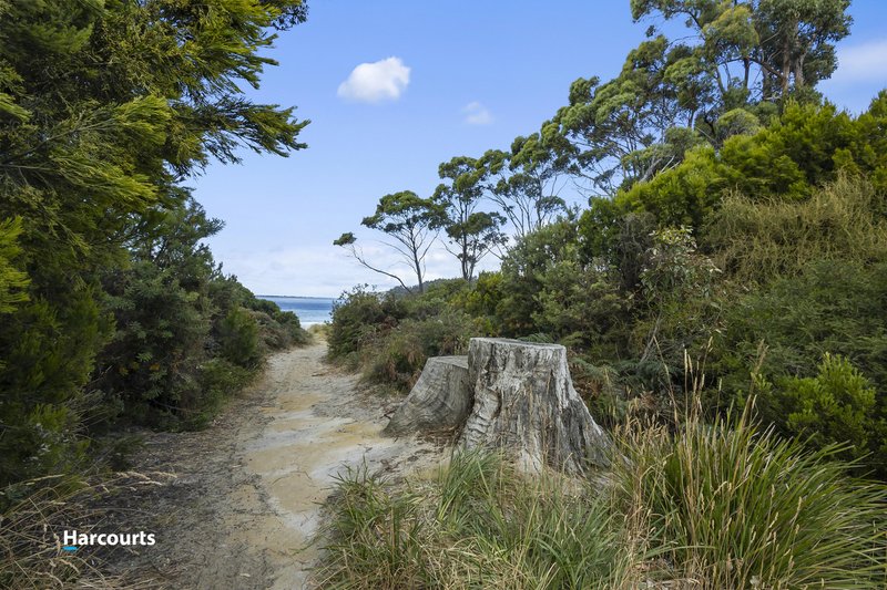 Photo - 33 Big Roaring Beach Road, Surveyors Bay TAS 7116 - Image 11