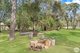 Photo - 33 Brianna Court, Oakhurst QLD 4650 - Image 19