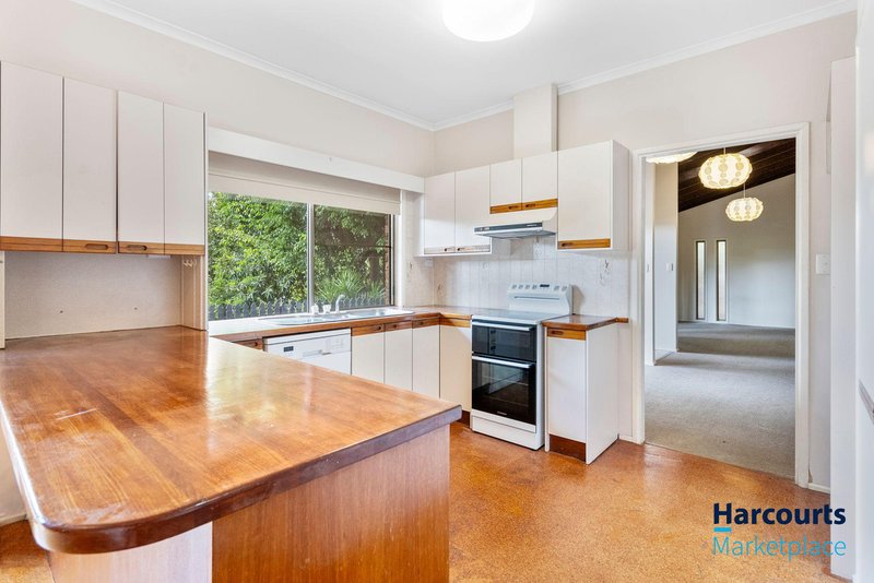 Photo - 33 Burrumbuck Street, Chapel Hill QLD 4069 - Image 4