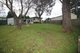 Photo - 33 Cedar Crescent, North St Marys NSW 2760 - Image 8