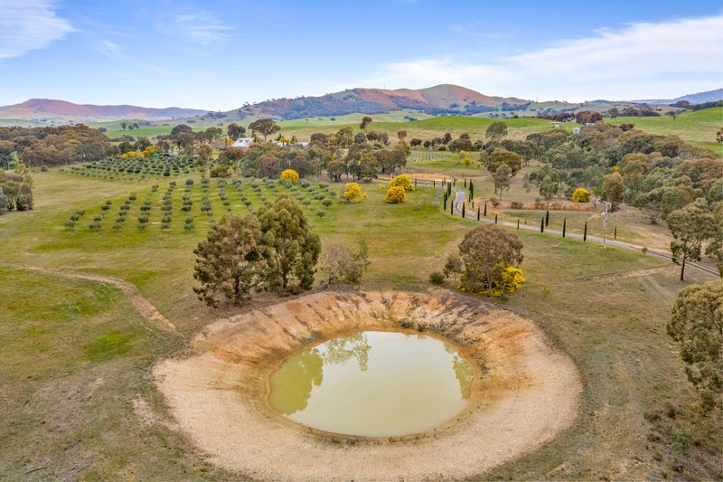 Photo - 33 Clokes Lane, Amphitheatre VIC 3468 - Image 25