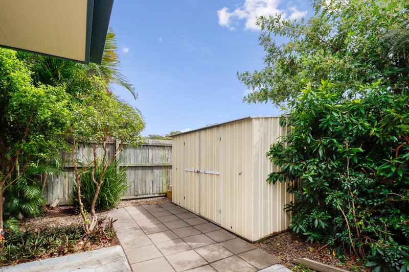 Photo - 33 Conondale Court, Torquay QLD 4655 - Image 17