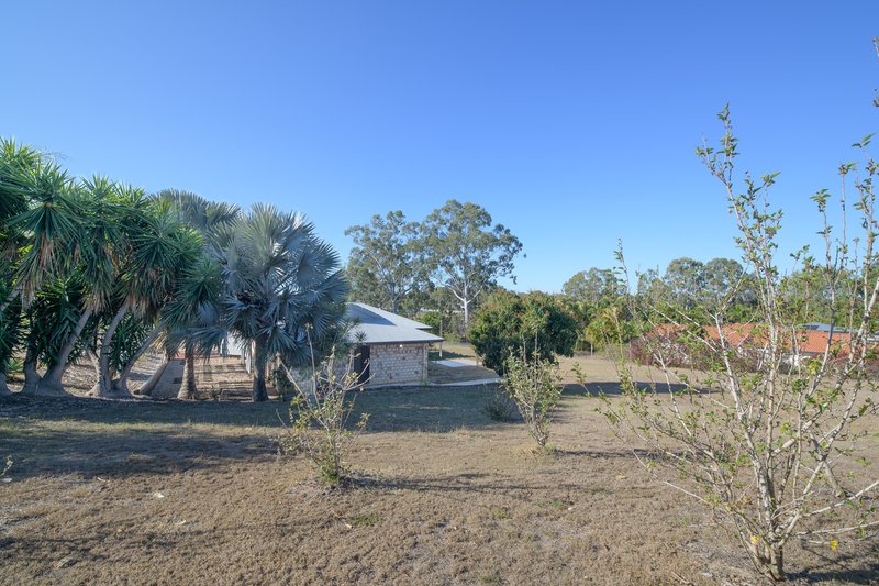 Photo - 33 Dedekind Avenue, Benaraby QLD 4680 - Image 29