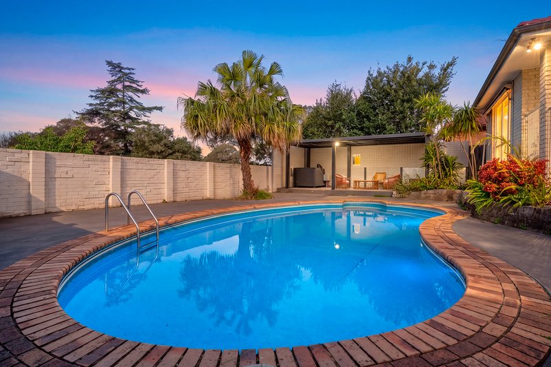 Photo - 33 Dresden Avenue, Castle Hill NSW 2154 - Image 18