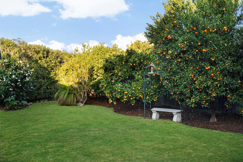 Photo - 33 Edward Street, Cheltenham VIC 3192 - Image 16