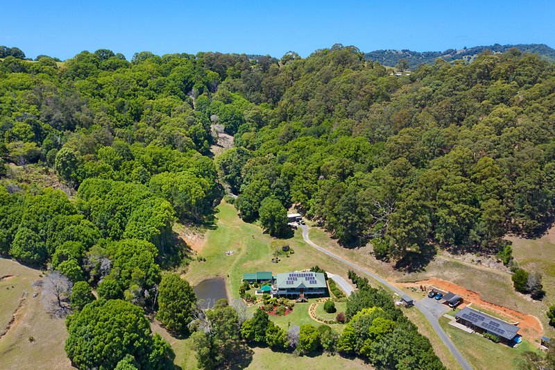 Photo - 33 Eva Crescent, Piggabeen NSW 2486 - Image 4