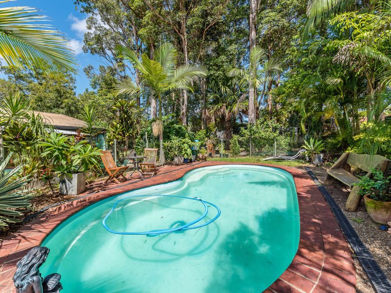 Photo - 33 Griffith Avenue, Tewantin QLD 4565 - Image 11