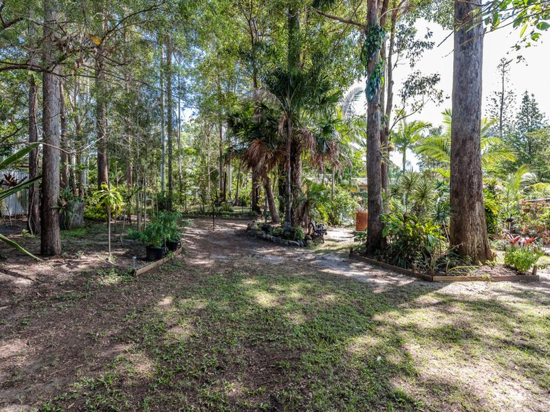 Photo - 33 Griffith Avenue, Tewantin QLD 4565 - Image 12