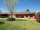 Photo - 33 Horsley Street, Kooringal NSW 2650 - Image 1