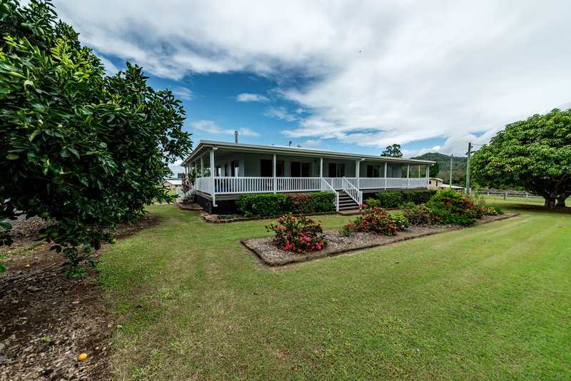 Photo - 33 Kevin Road, Imbil QLD 4570 - Image 17