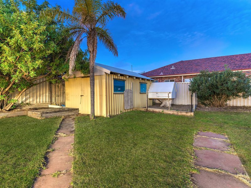 Photo - 33 Lewington Street, Rockingham WA 6168 - Image 6