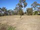 Photo - 33 Little Street, Bendick Murrell NSW 2803 - Image 20