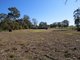 Photo - 33 Little Street, Bendick Murrell NSW 2803 - Image 23