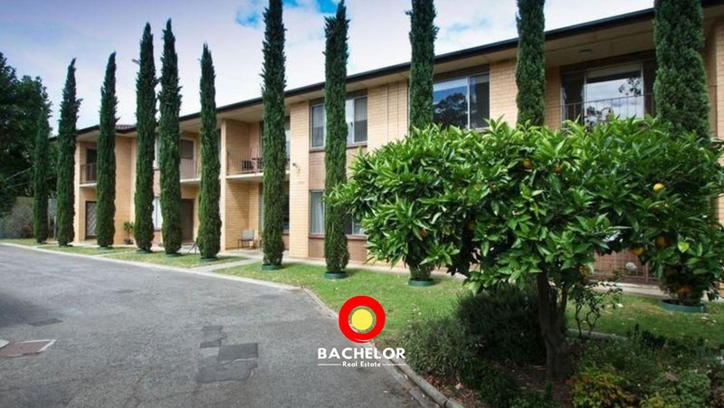 Photo - 3/3 Macklin Street, Parkside SA 5063 - Image 9