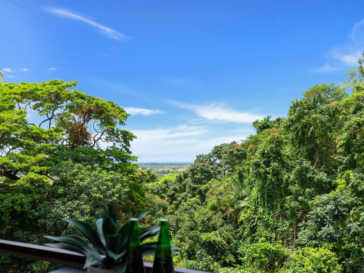 4-bedroom house at 33 Megan Close, Freshwater, QLD 4870, , Queensland