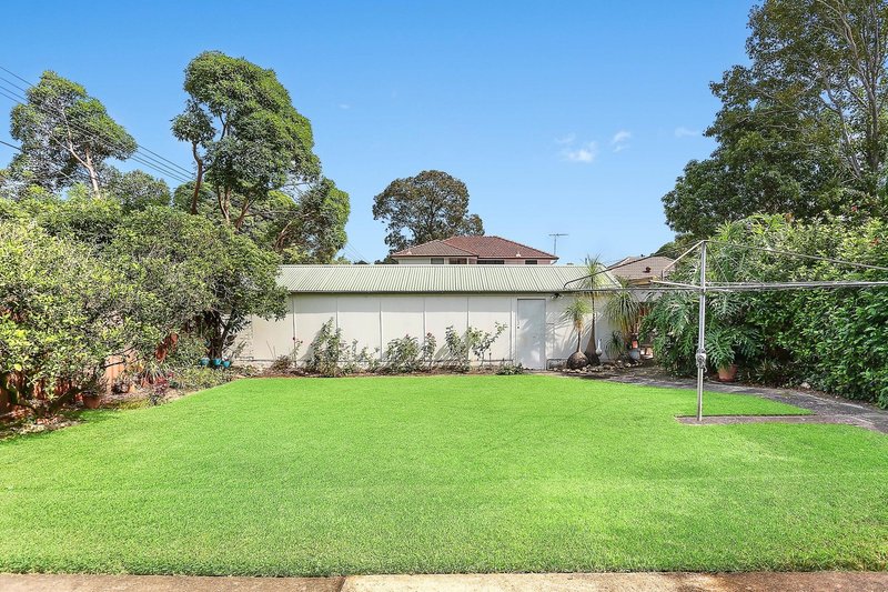 Photo - 33 Myrna Road, Strathfield NSW 2135 - Image 6