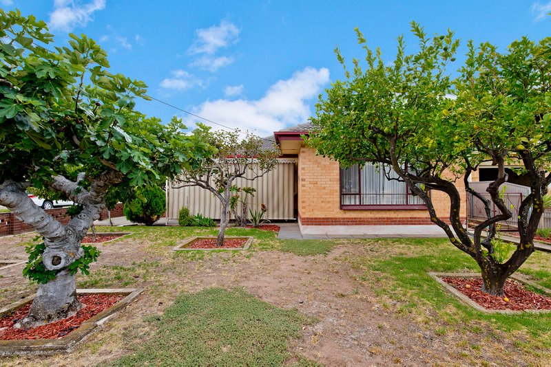 33 Norman Street, Findon SA 5023