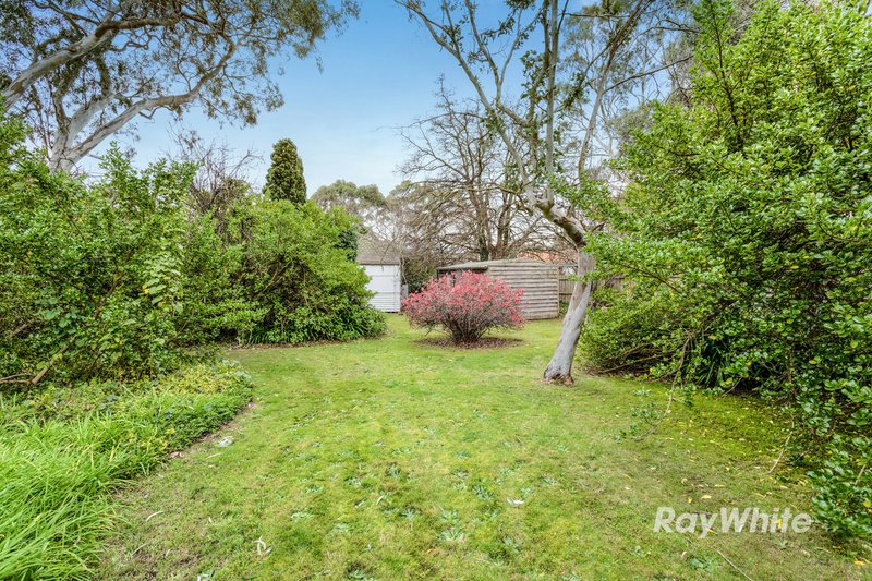 Photo - 33 Omama Road, Murrumbeena VIC 3163 - Image 5