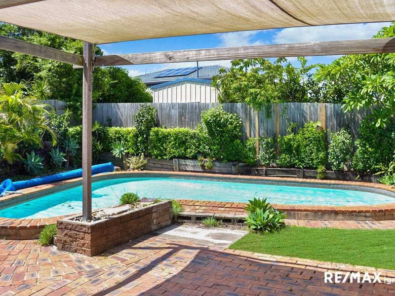 Photo - 33 Pennant Street, Jamboree Heights QLD 4074 - Image 5