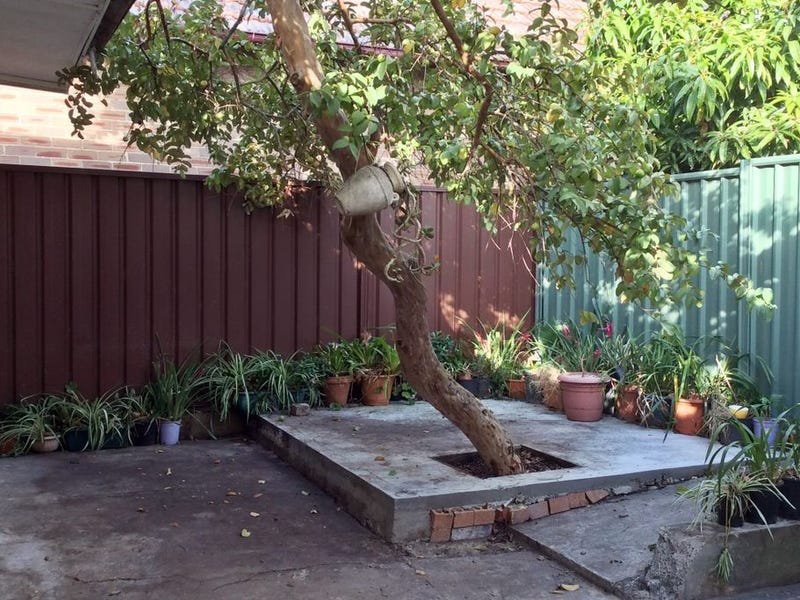 Photo - 33 Railway Street, Rockdale NSW 2216 - Image 4