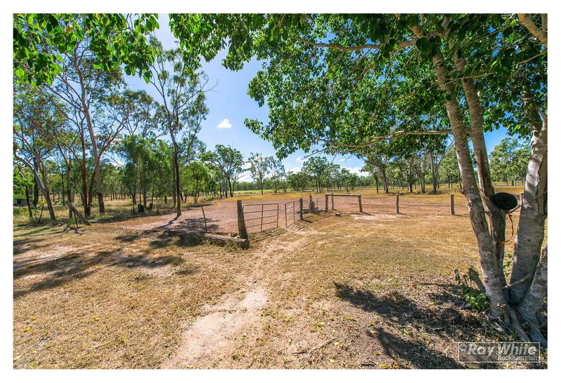 Photo - 33 Rhys Avenue, The Caves QLD 4702 - Image 13