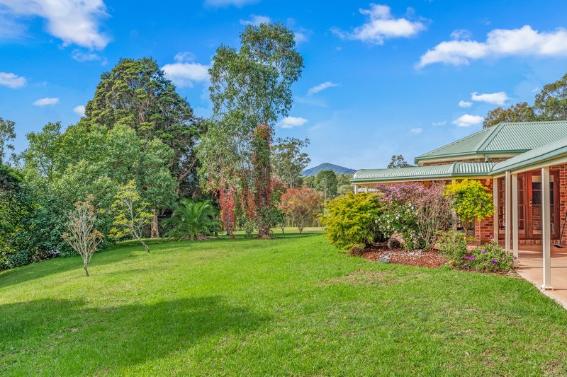 Photo - 33 Rodney Road, Mount Vincent NSW 2323 - Image 24