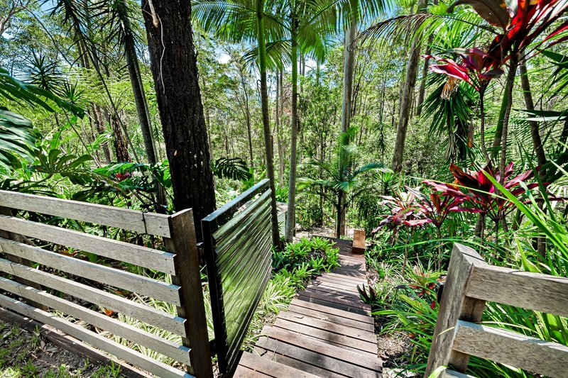 Photo - 33 Settlers Ridge, Buderim QLD 4556 - Image 15