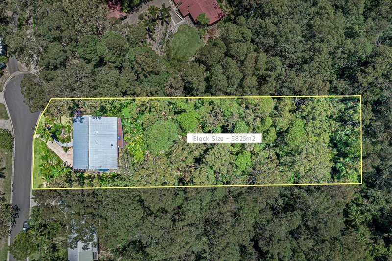 Photo - 33 Settlers Ridge, Buderim QLD 4556 - Image 16