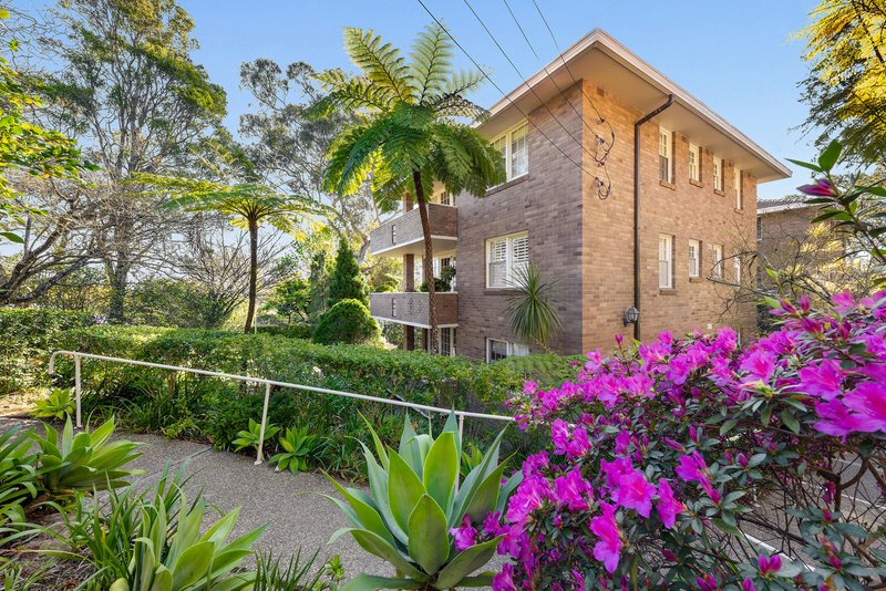 Photo - 3/3 Spencer Road, Killara NSW 2071 - Image 5