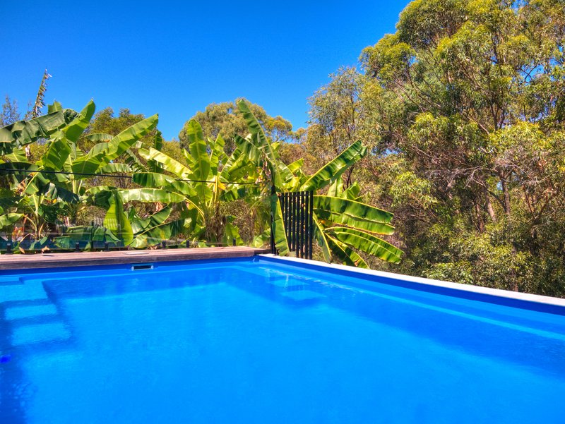 Photo - 33 Starfish Street, Agnes Water QLD 4677 - Image 13