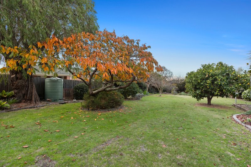 Photo - 33 Tennyson Street, Highett VIC 3190 - Image 5