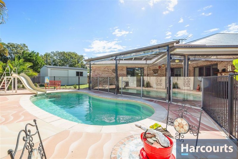 Photo - 33 Tilia Ct , Bongaree QLD 4507 - Image 5