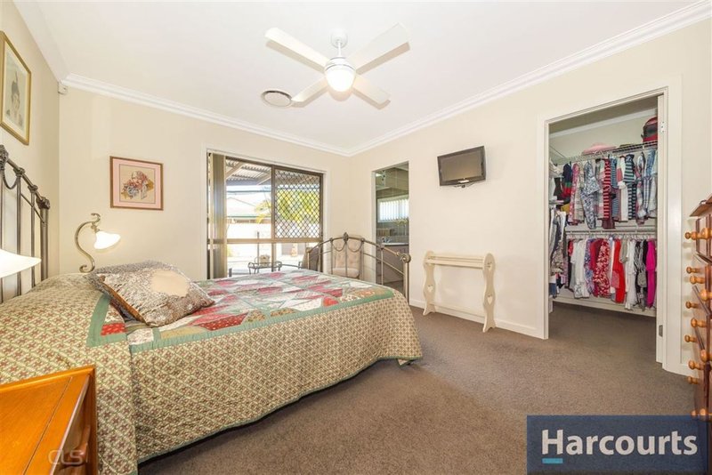 Photo - 33 Tilia Ct , Bongaree QLD 4507 - Image 12