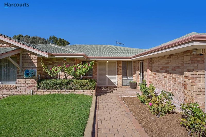 Photo - 33 Trephina Mews, Clarkson WA 6030 - Image 3