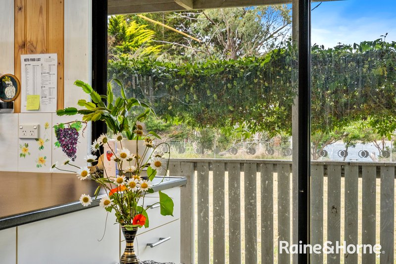 Photo - 33 Vicary Street, Triabunna TAS 7190 - Image 14