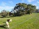 Photo - 33 Water Reserve Road, Lower Inman Valley SA 5211 - Image 7