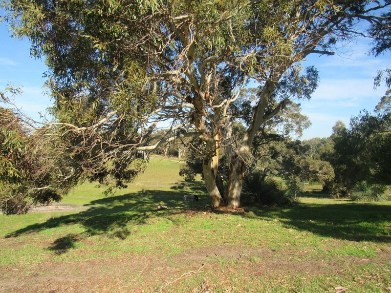 Photo - 33 Water Reserve Road, Lower Inman Valley SA 5211 - Image 9