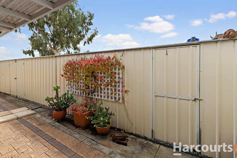 Photo - 33 Wells Road, Pinjarra WA 6208 - Image 16