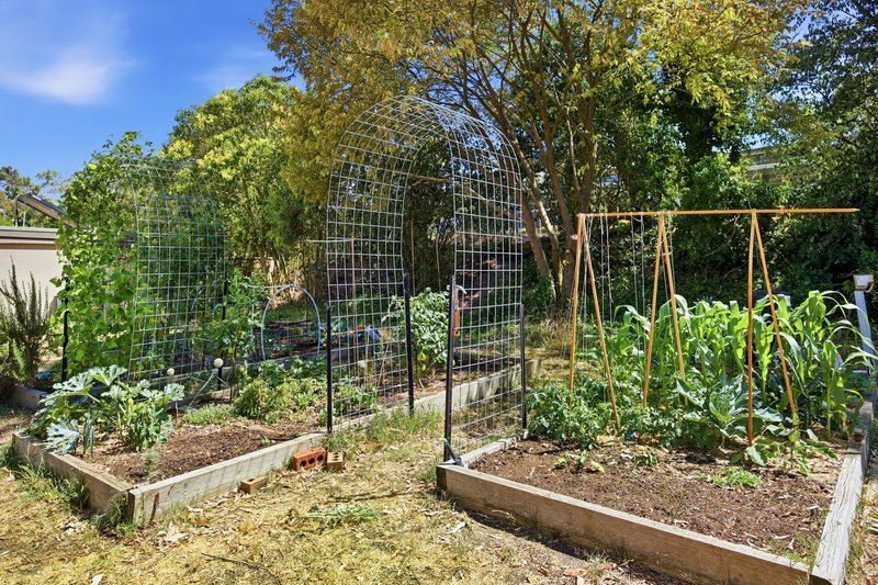 Photo - 33 White Close, Lilydale VIC 3140 - Image 14