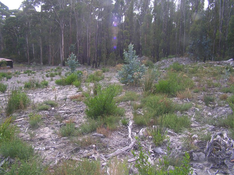 Photo - 330 Blowhole Road, Eaglehawk Neck TAS 7179 - Image 3