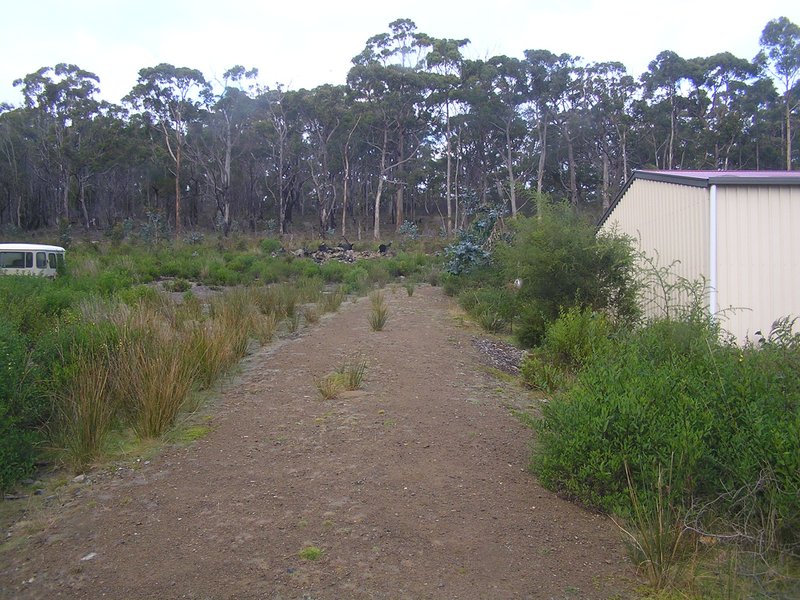 Photo - 330 Blowhole Road, Eaglehawk Neck TAS 7179 - Image 4