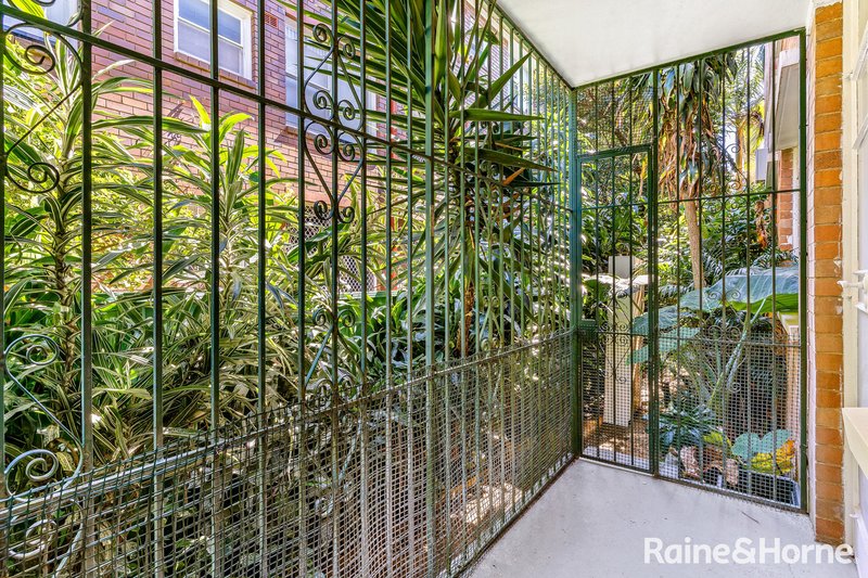 Photo - 3/30 Ewart Street, Marrickville NSW 2204 - Image 5