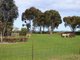 Photo - 3308 Henty Highway, Wonwondah VIC 3401 - Image 3